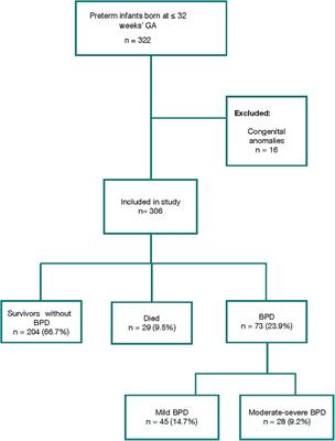 Prediction of bronchopulmonary dysplasia in very preterm infants: competitive risk model nomogram